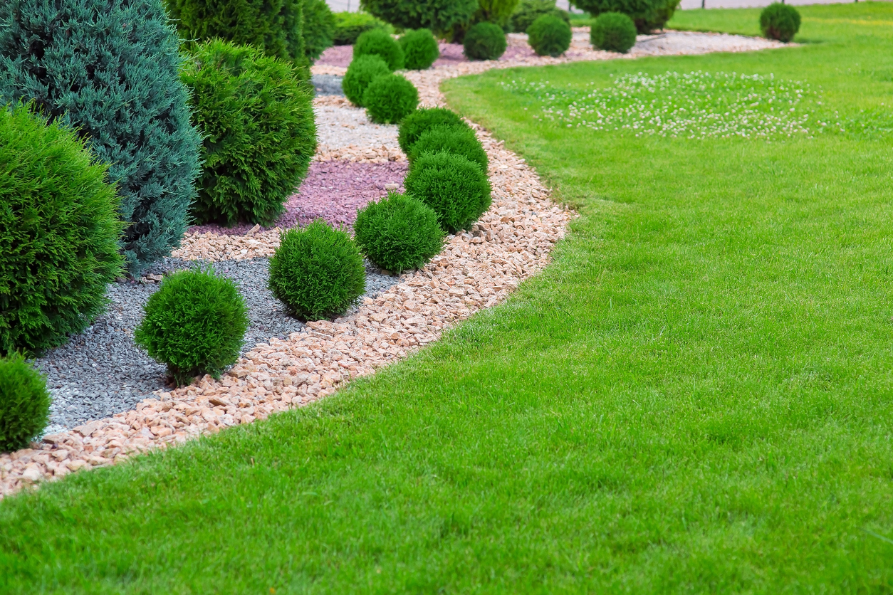 Read more about the article Embracing the Green Revolution: Sustainable Landscaping with Green Side Landscaping for 2024