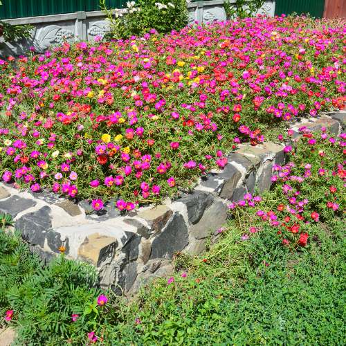 hardscaping flower bed