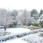 Winter Landscape Tips: Embrace the Season’s Beauty for 2024