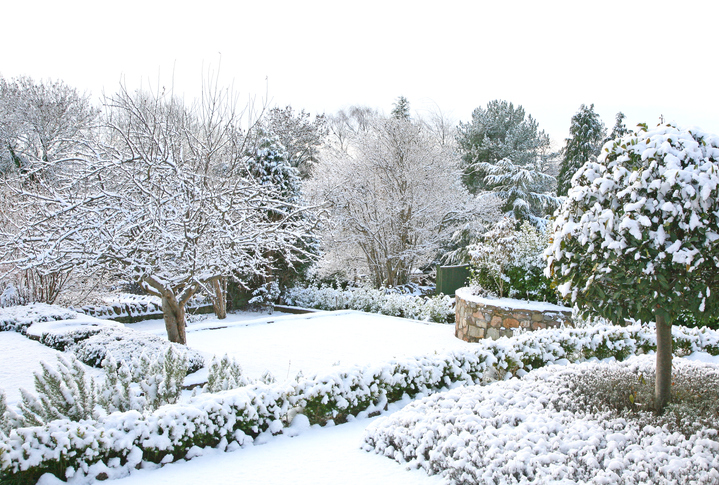 Read more about the article 8 Amazing Winter Landscaping Options for Year Round Beauty